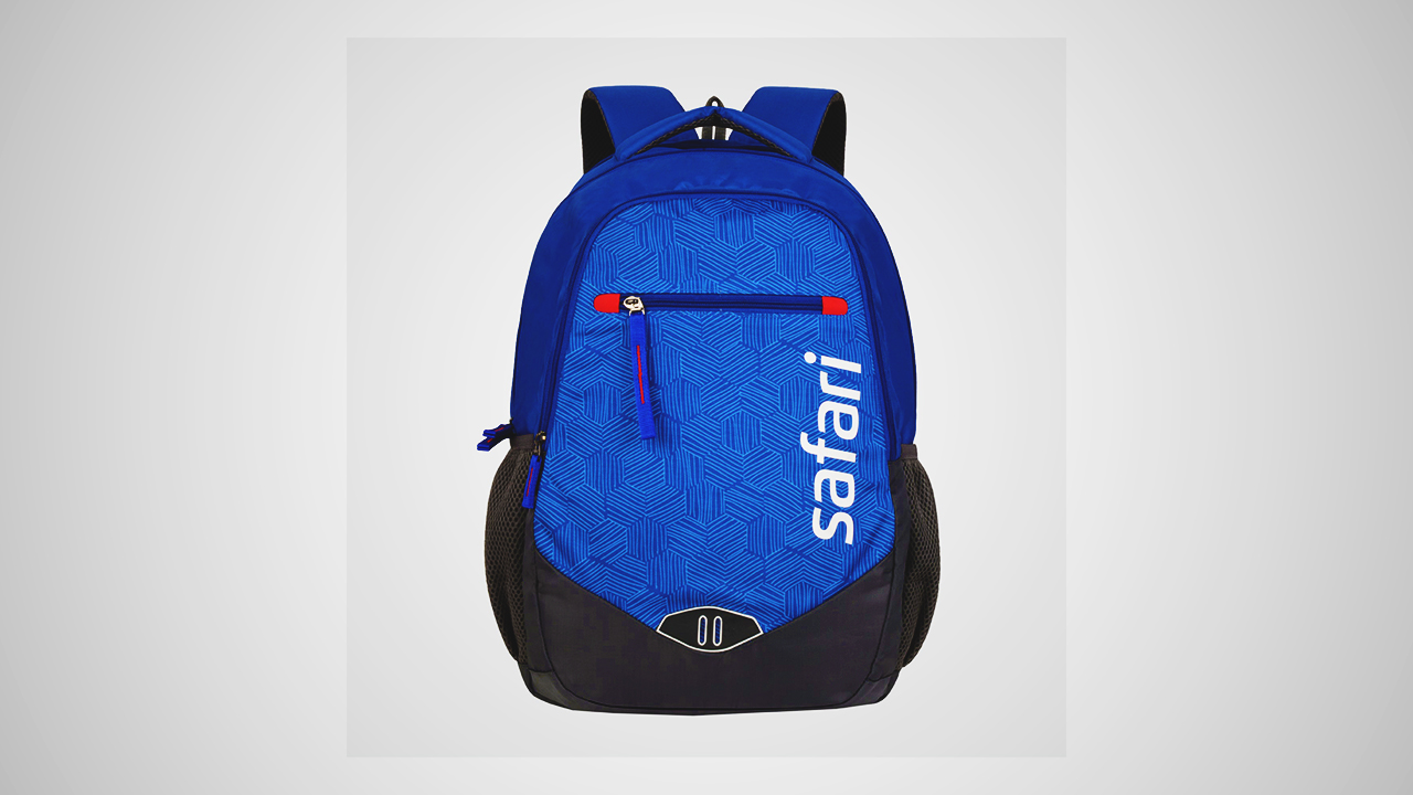 10 Best Backpack Brands in India - Minded Idiot