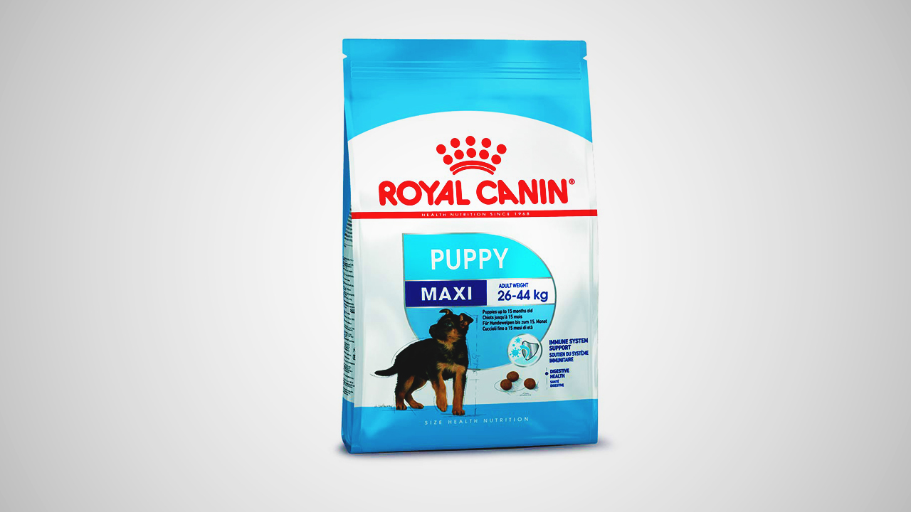 A standout brand in the realm of dog food