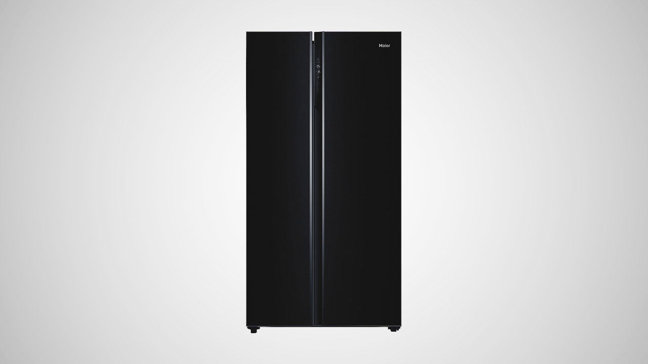 A highly regarded refrigerator known for its double door design. 