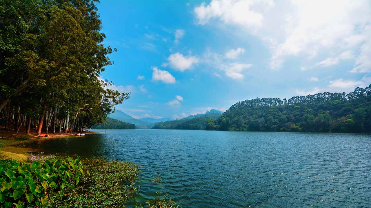 A standout among the remarkable places to see in Munnar. 